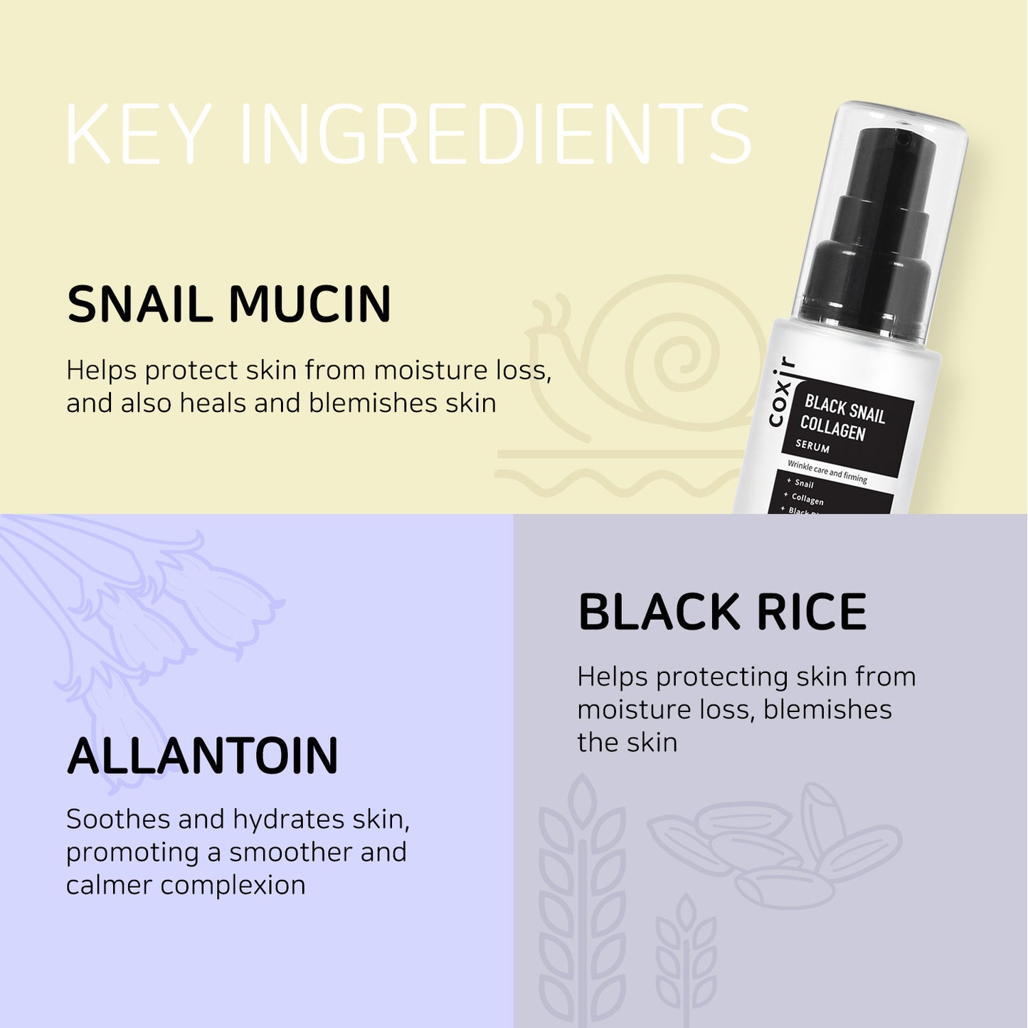 Black Snail Collagen Serum