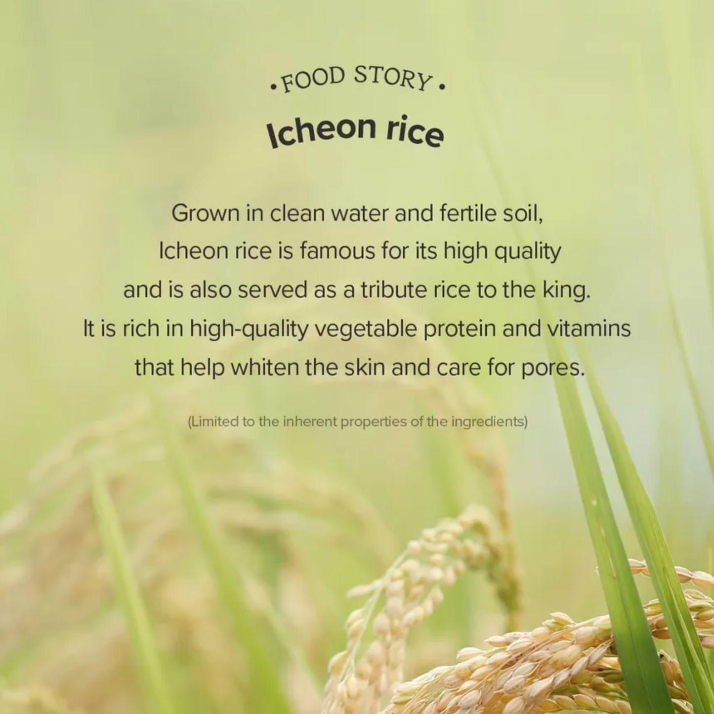 Rice Brightening Cream