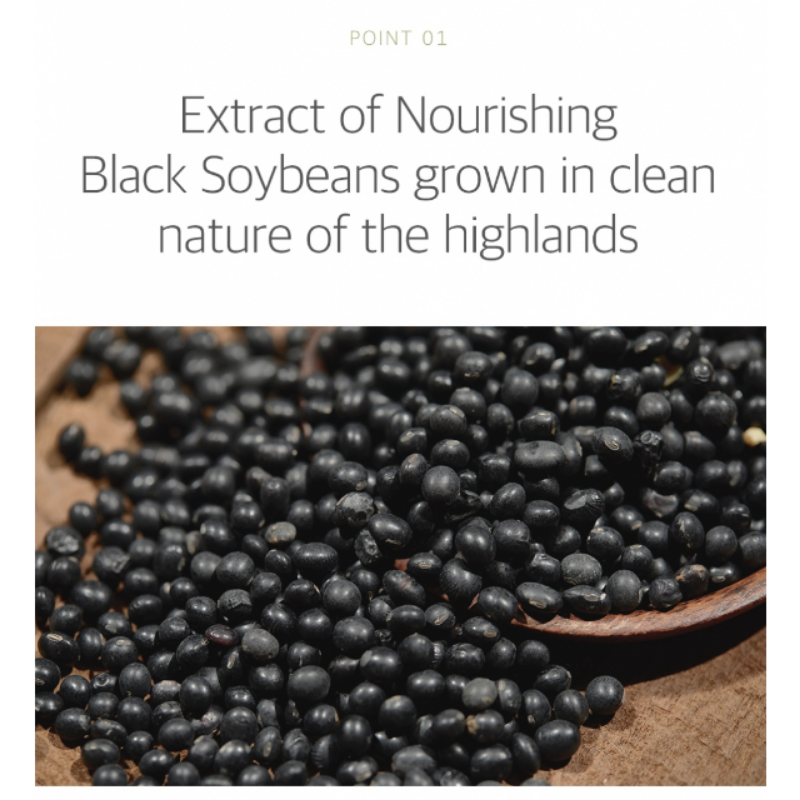 Soybean Nourishing Toner