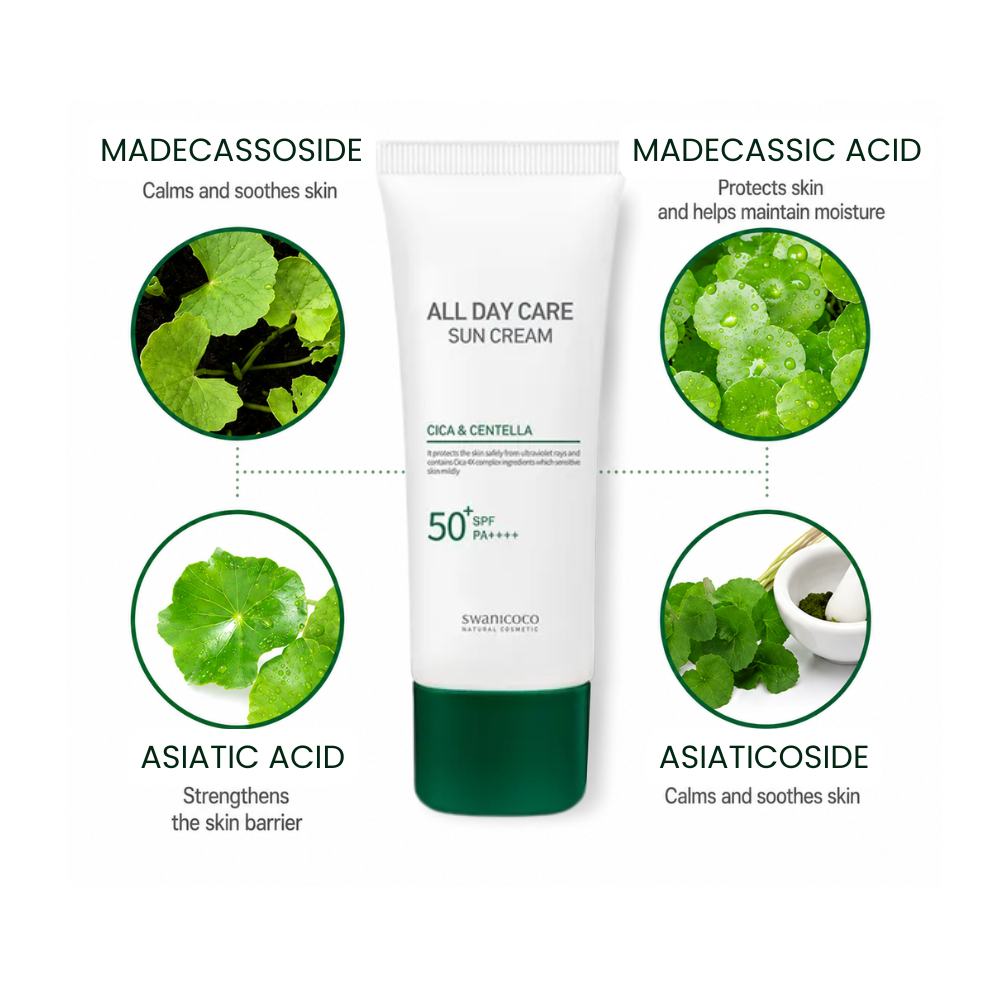 All Day Care Cica & Centella Suncream SPF50+   50ml