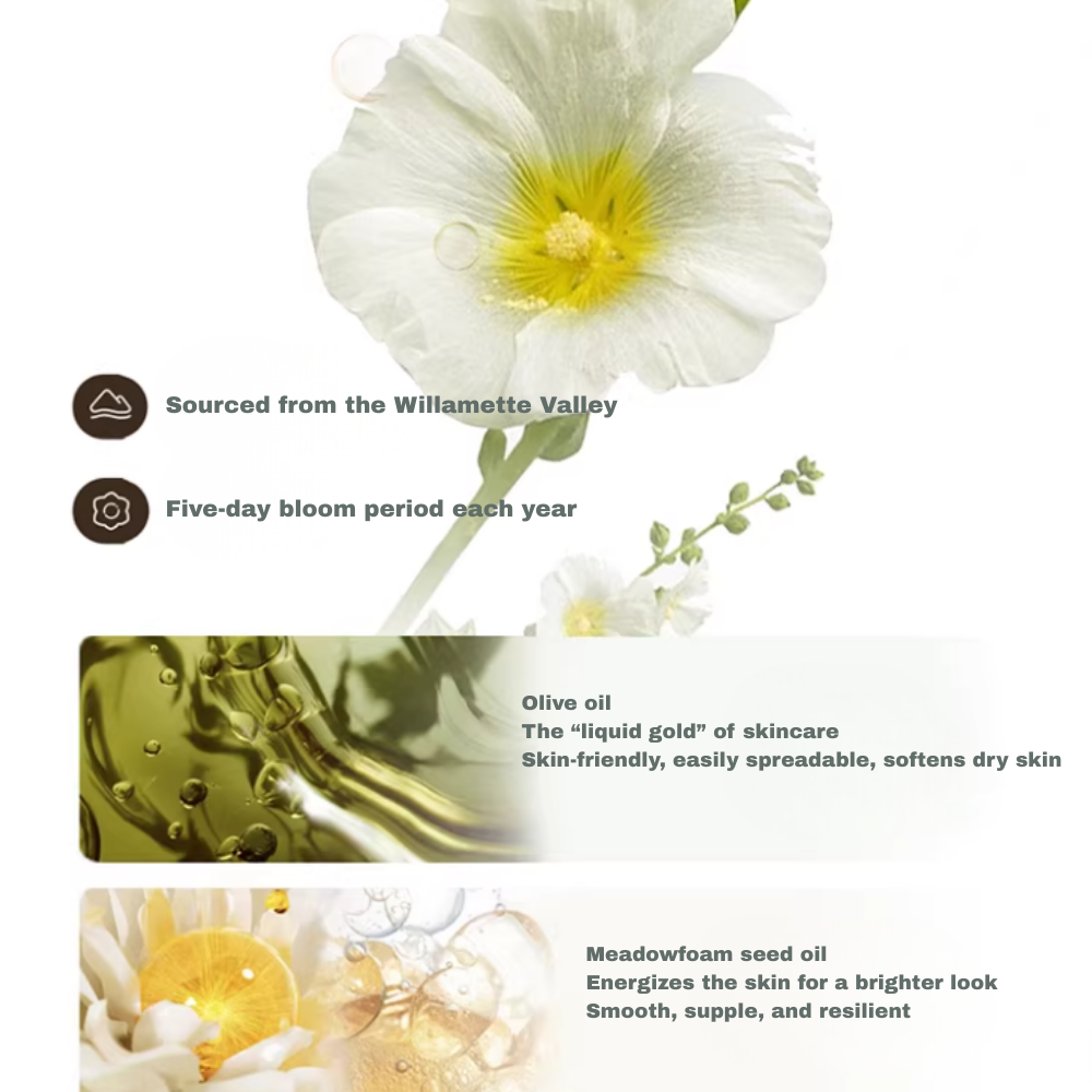 Plant Essential Oil Body Lotion #RUGOSA