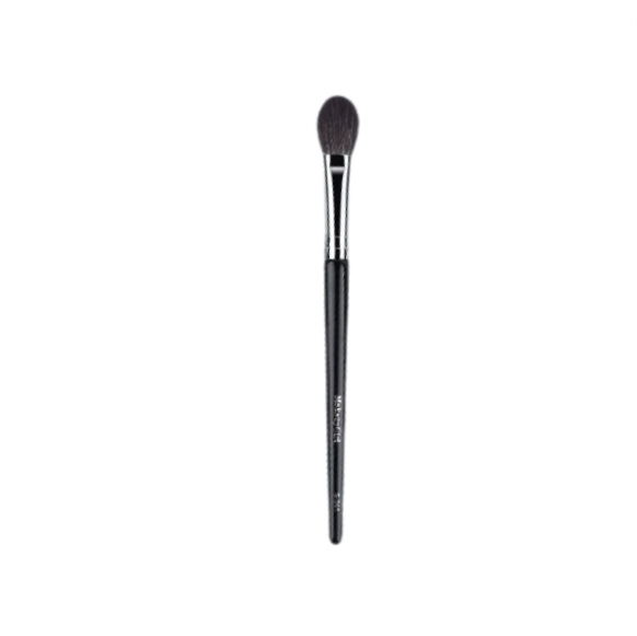 Highlight Brush S241